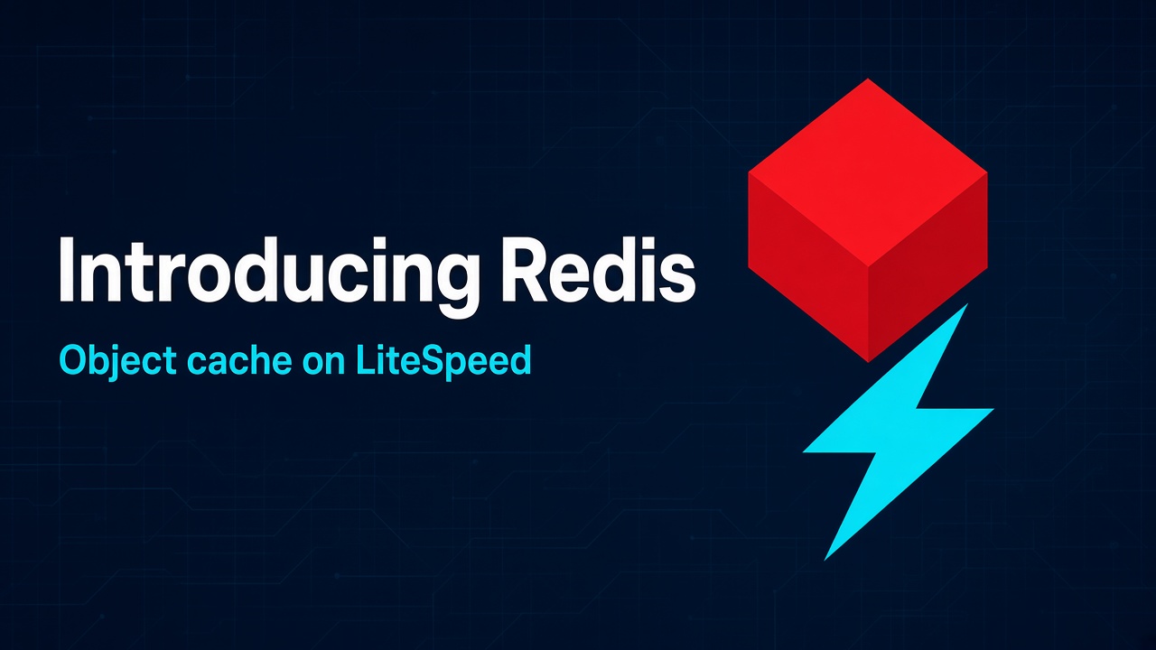 Introducing REDIS